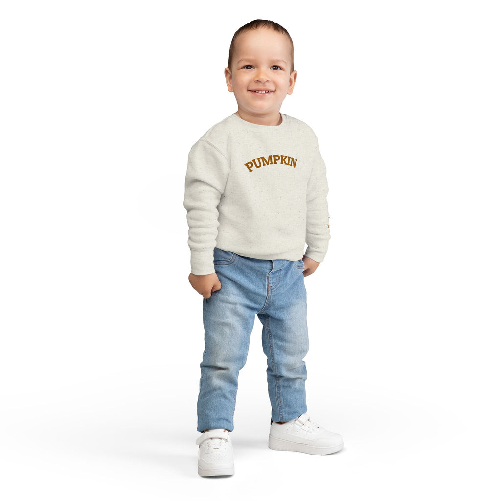 Pumpkin Toddler Sweatshirt – Cute Fall Pullover with Personalization