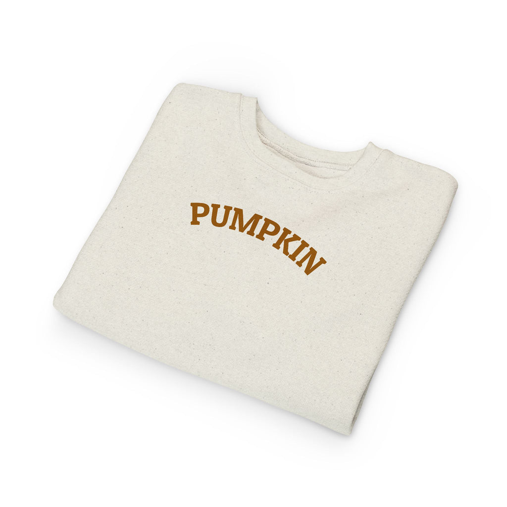 Pumpkin Toddler Sweatshirt – Cute Fall Pullover with Personalization