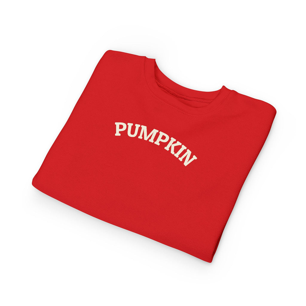 Pumpkin Toddler Sweatshirt – Cute Fall Pullover with Personalization