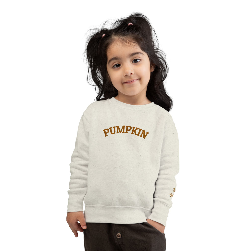 Pumpkin Toddler Sweatshirt – Cute Fall Pullover with Personalization
