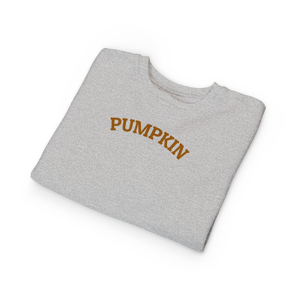 Pumpkin Toddler Sweatshirt – Cute Fall Pullover with Personalization